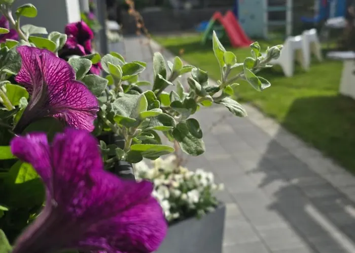Apartamenty Perla Baltyku